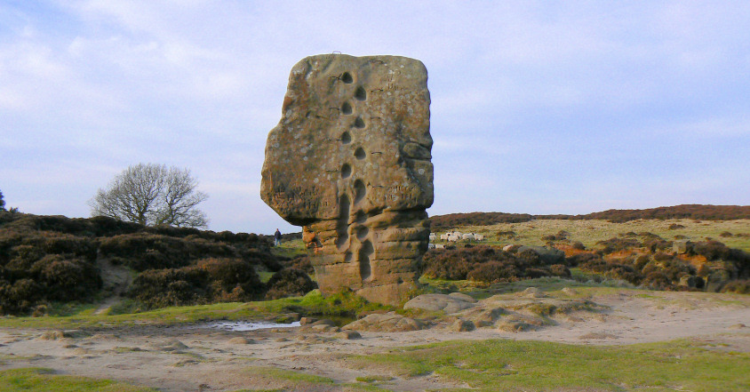 Cork Stone Cork Stone
